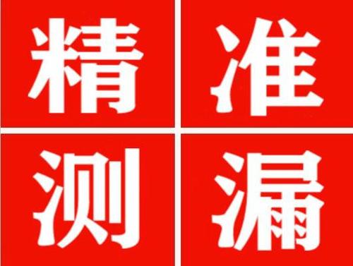 通榆尚嘉漏水精准查找